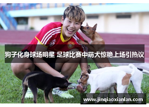 狗子化身球场明星 足球比赛中萌犬惊艳上场引热议