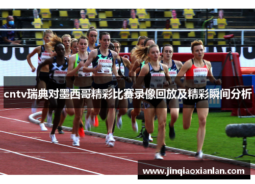 cntv瑞典对墨西哥精彩比赛录像回放及精彩瞬间分析
